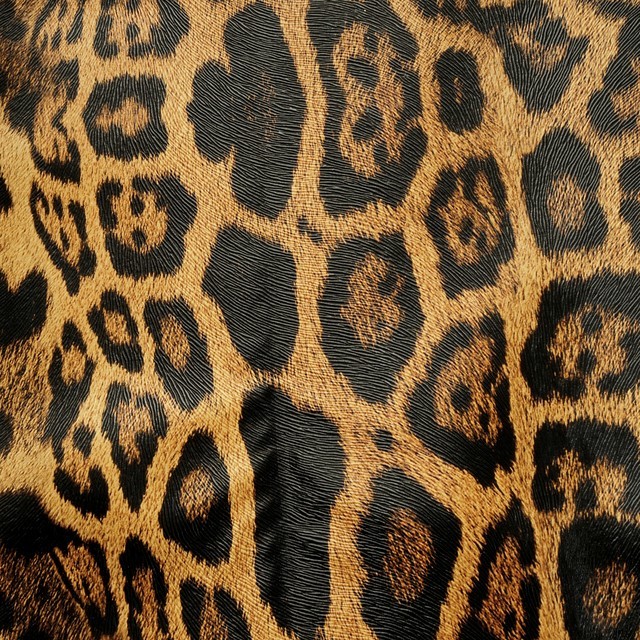 Animal Print Leo Lederimitat Stretch mit Haarstrucktur Prägung