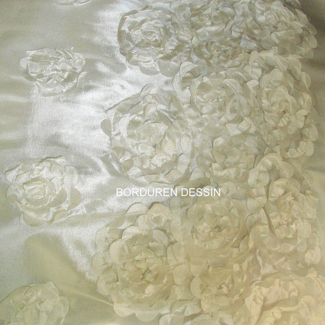 Border ribbon lace on platinum taffeta in white/white