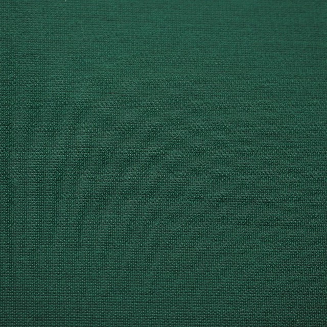 High Stretch (Bi-elastisch) leicht glänzend & mittelschwerer Fine Jersey Rayon Mix in Grün | Ansicht: High Stretch (Bi-elastisch) leicht glänzend & mittelschwerer Fine Jersey Rayon Mix in Grün