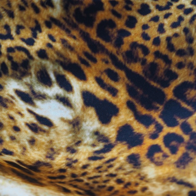 Hochwertiger Leopard Seiden Print Made in Italy | Ansicht: Hochwertiger Leopard Seiden Print Made in Italy
