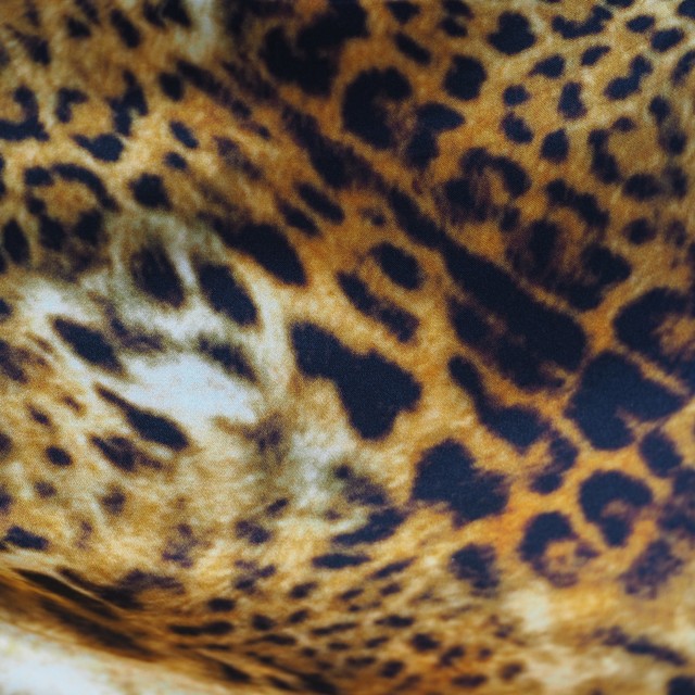 High quality leopard silk print made in Italy | View: High quality leopard silk print made in Italy