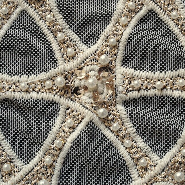 Beaded circles & mini sequins with gold threads on tulle in creme