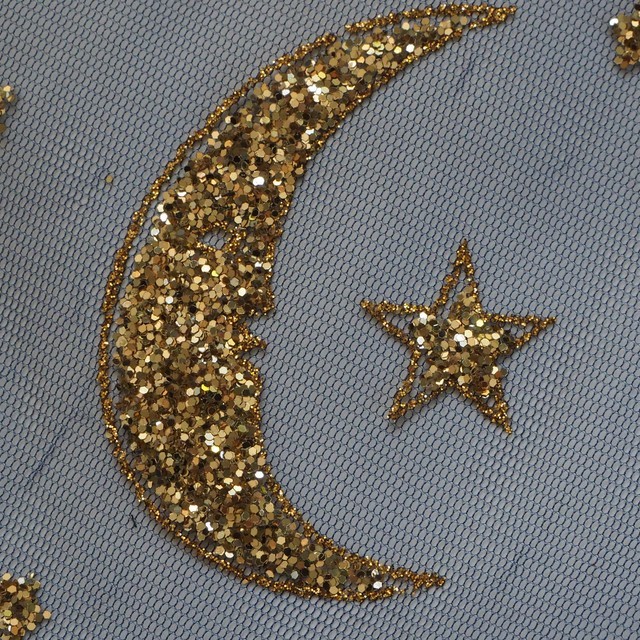 Strass Figuren/Sternen und Mond in Gold + Silber auf Schwarzen Stretch Tüll
