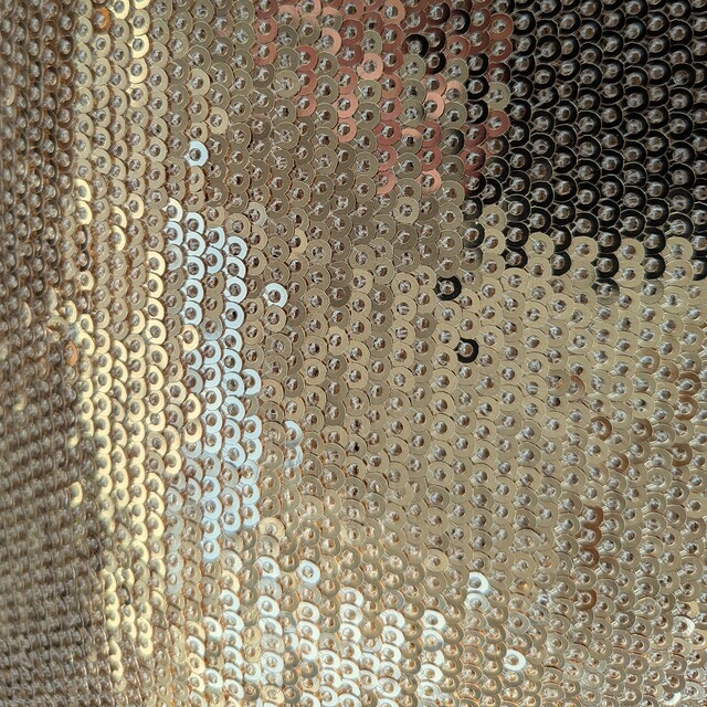 Stretch lengthwise gold sequins on skin-colored tulle