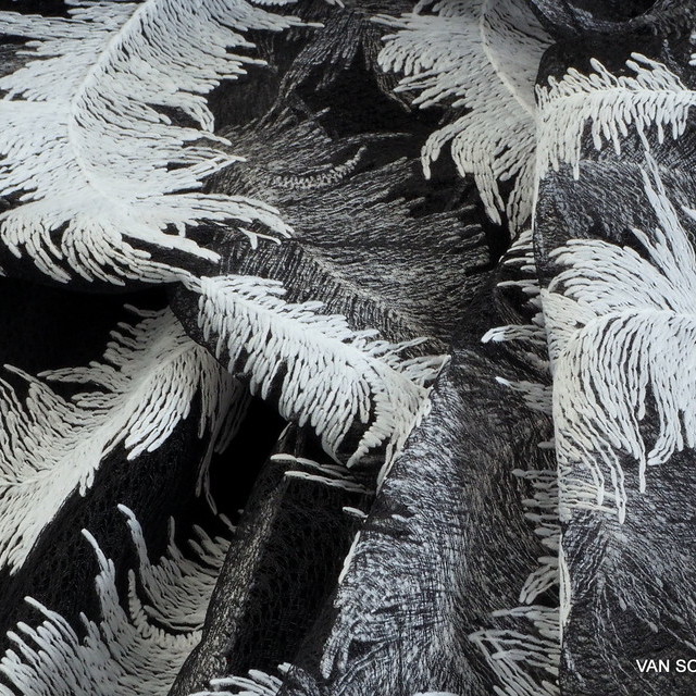 White feathers on black fantasy tulle | View: White feathers on black fantasy tulle